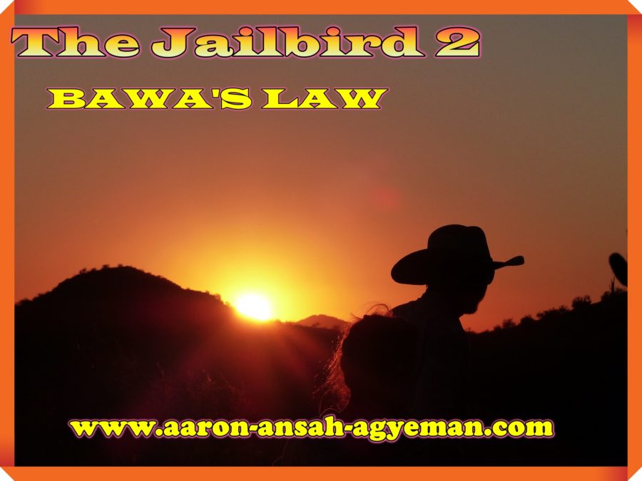 chris bawa cowboy background