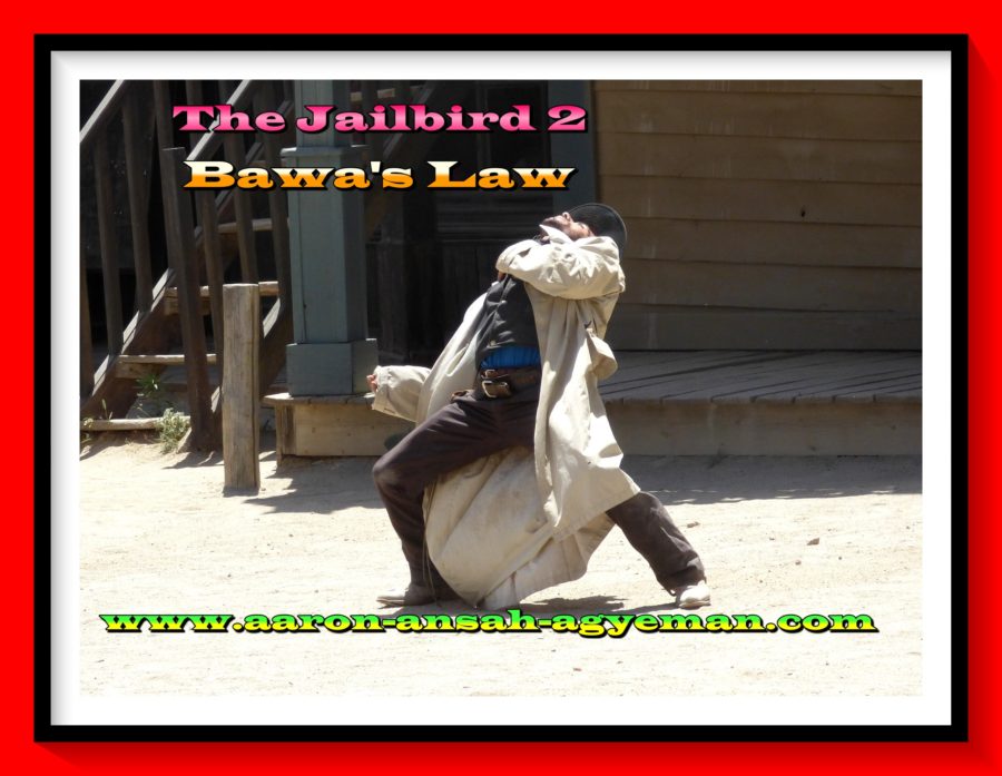 jailbird 2 thrills dying cowboy