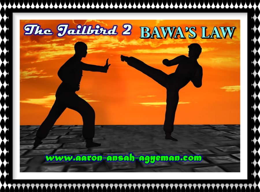 chris bawa thriller in jailbird 2 two men in martial arts stance