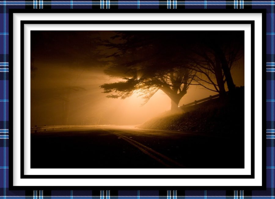 eerie road with light image for Kuman-Po-Guru Episode 8