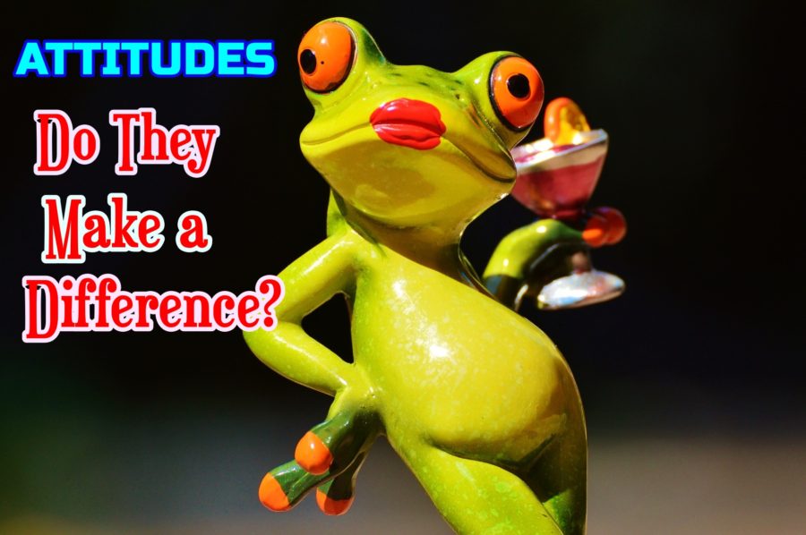 <b>ATTITUDES :: DO THEY MAKE A DIFFERENCE?<span style="color:red">LOVE SHOP SERIES</span></b>