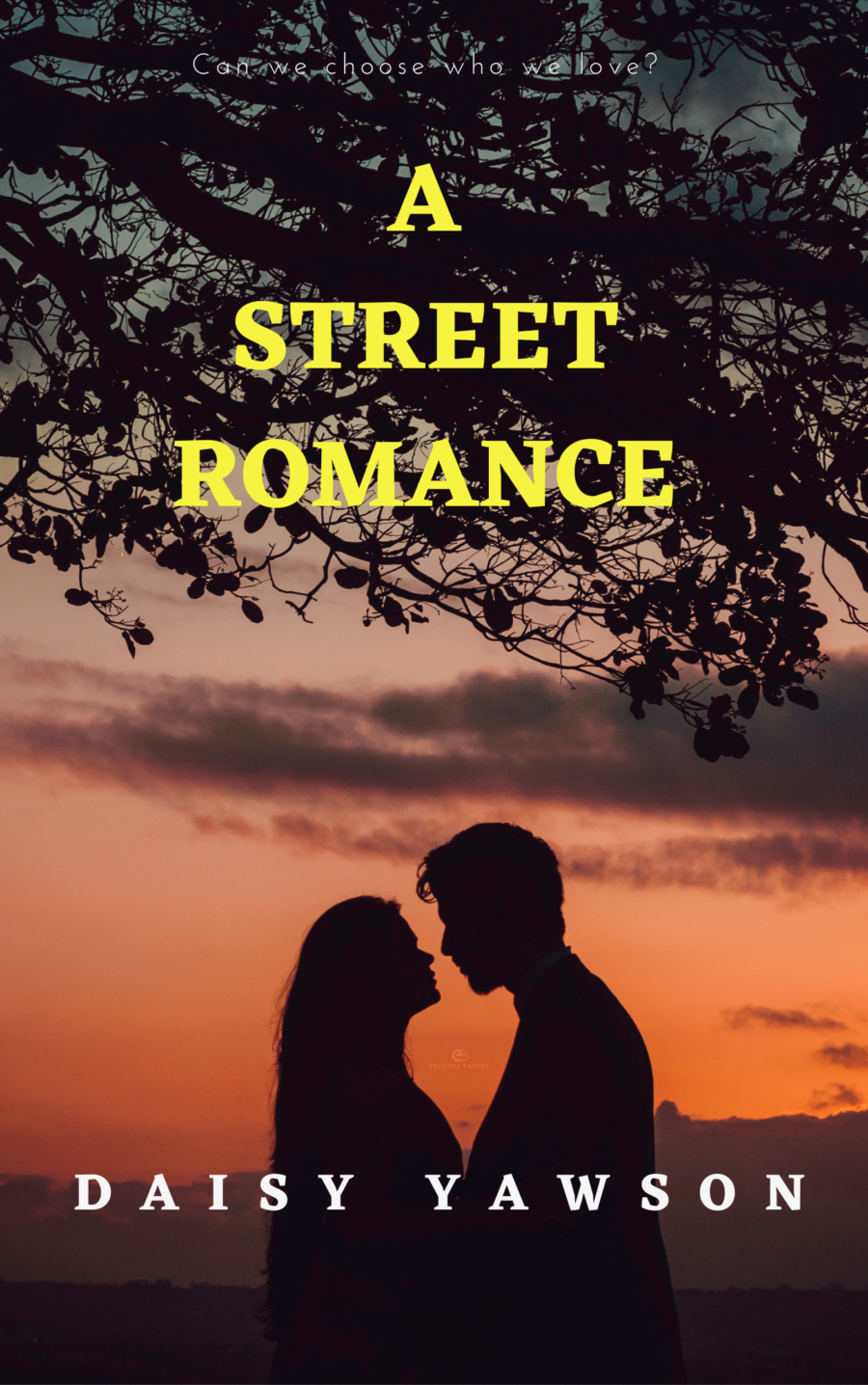 <b>A STREET ROMANCE by Daisy Yawson : FINAL EPISODE </b>