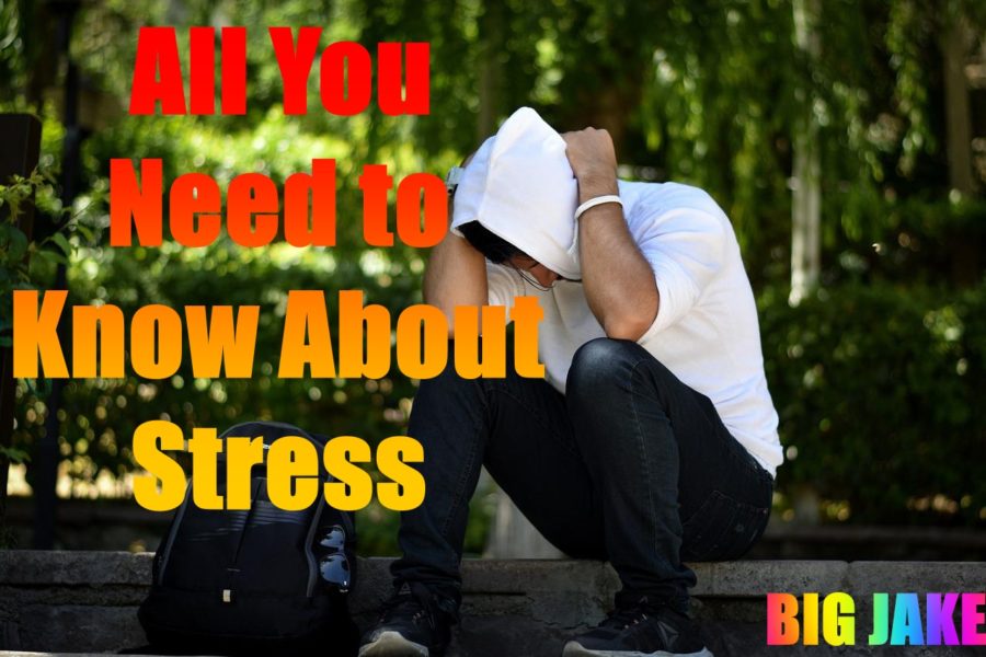 <b>ALL YOU NEED TO KNOW ABOUT STRESS: <span style="color:orange">BIG JAKE</span></b>