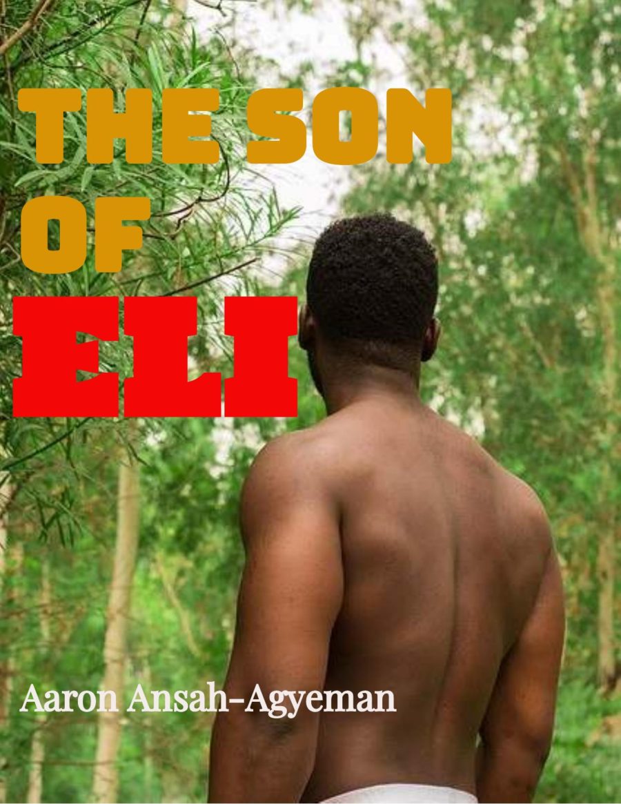 <b><span style="color:red">THE SON OF ELI: Chapter 6</b>