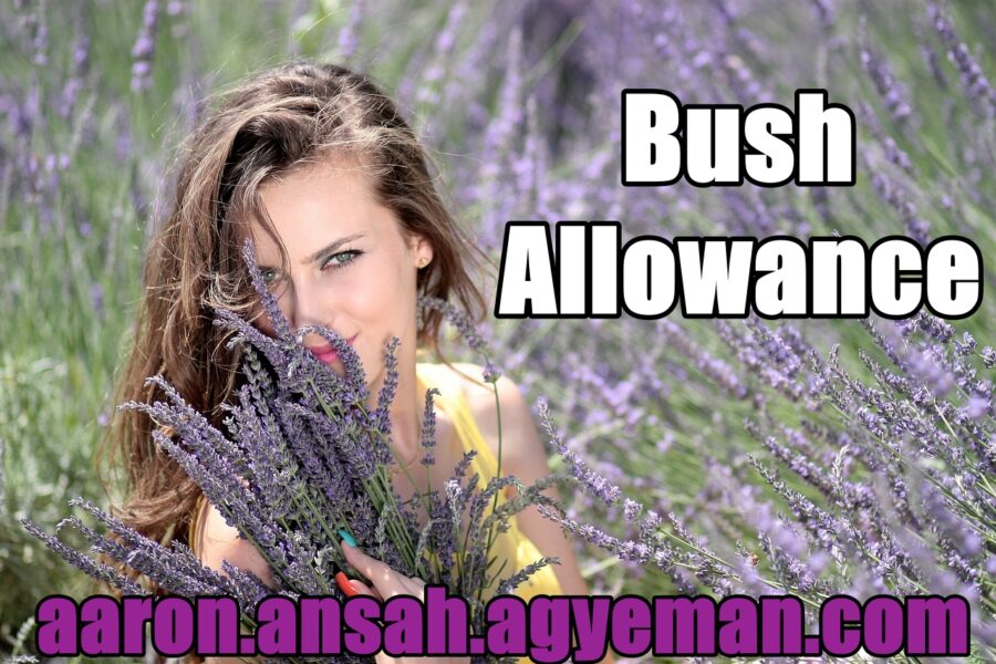 <b><span style="color:black">Bush Allowance<b><span style="color:red"> Episode 7</b>