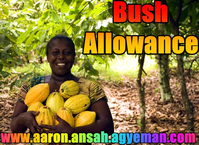 <b><span style="color:black">Bush Allowance<b><span style="color:red"> Final Episode </b>