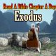 <b> <span style="color:red"> Day 52: <b> <span style="color:blue"> Exodus Chapter 2 <b>